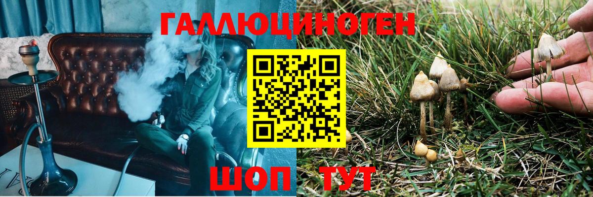 Галлюциногенные грибы прущие грибы Железногорск