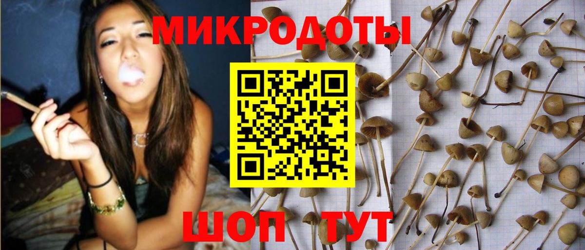 Псилоцибиновые грибы Magic Shrooms  Вход с VPN  Железногорск 